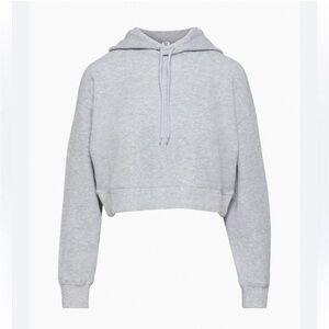 Sunday Best Aritzia Baby Waffle Relaxed Grey Cropped Hoodie